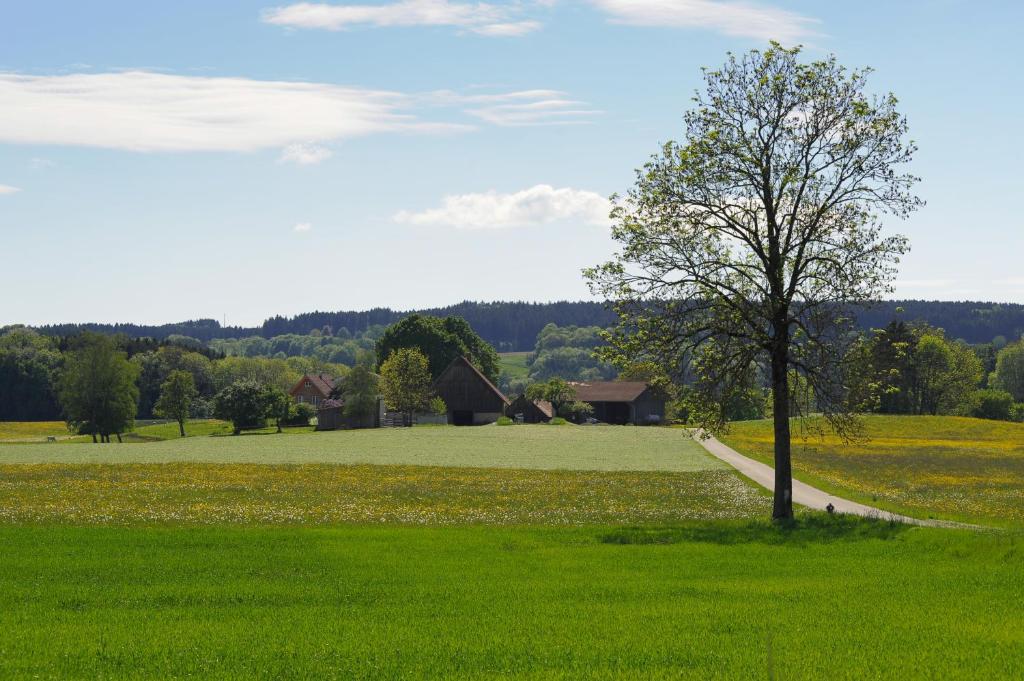 Ferienwohnung Hof Zürnen - 2