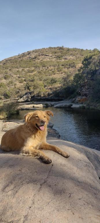 NATURAL Tanti Lomas - 4