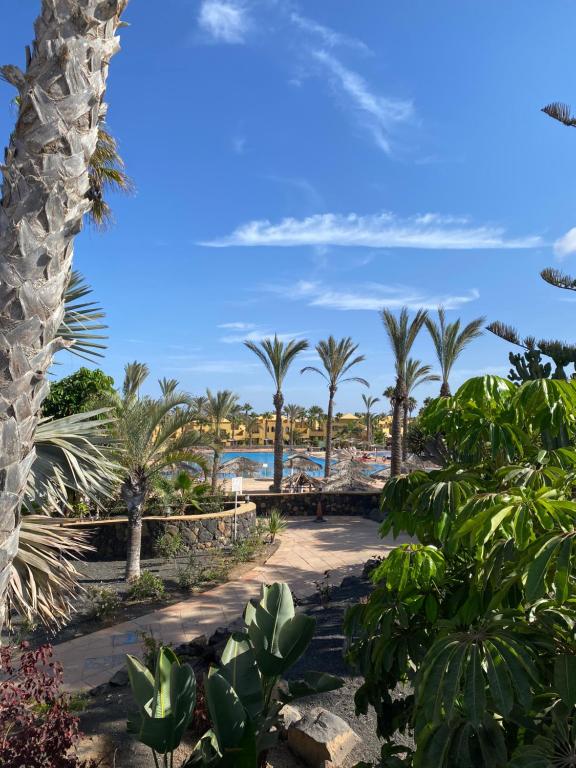 Apartamentos Corralejo Playa Oasis - 1