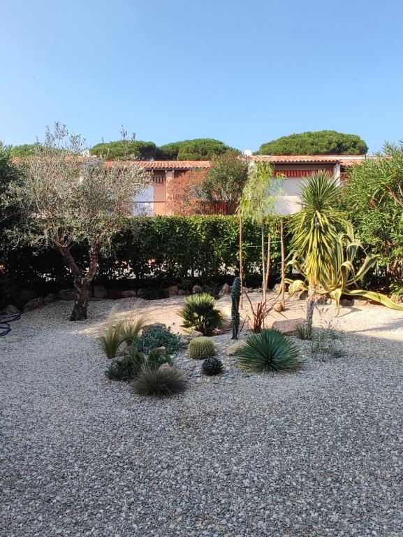 Le Palmier, jardin privatif, plage 200m, centre et restaurants à deux pas, climatisé, wifi, garage, rénové - 2