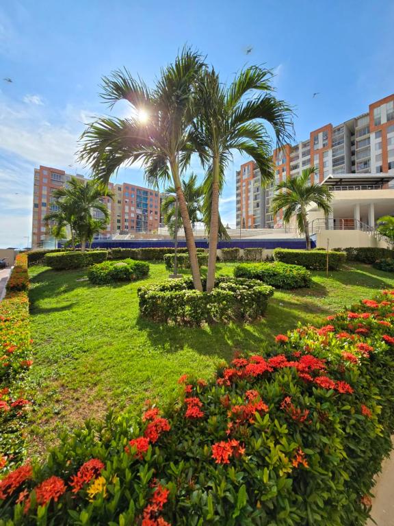 Espectacular Apto de 3 Habitaciones con piscina y parqueadero gratuito excelente relacion calidad precio - 2