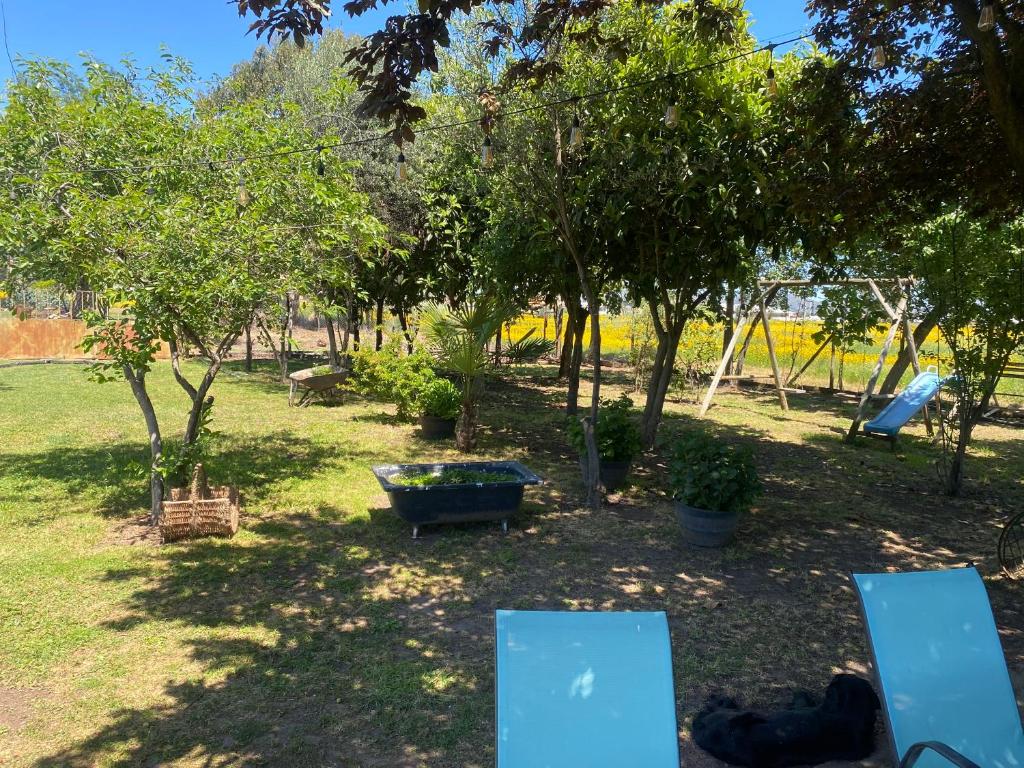 Talca-Maule - 2