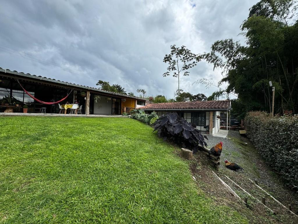 La Casa de Amelia - 1
