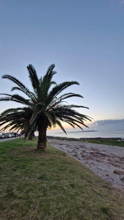 Departamento en Punta del Este - 4