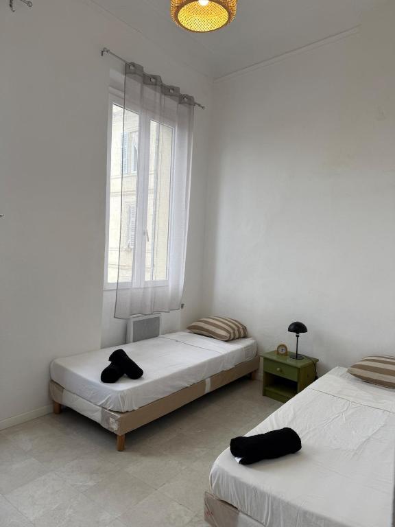 Spacieux T3 centre-ville 4 personnes - 2