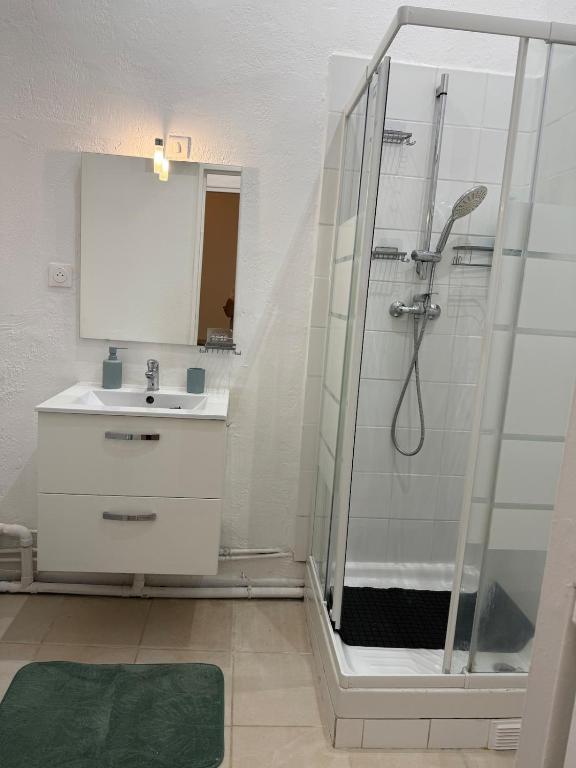 Spacieux T3 centre-ville 4 personnes - 5