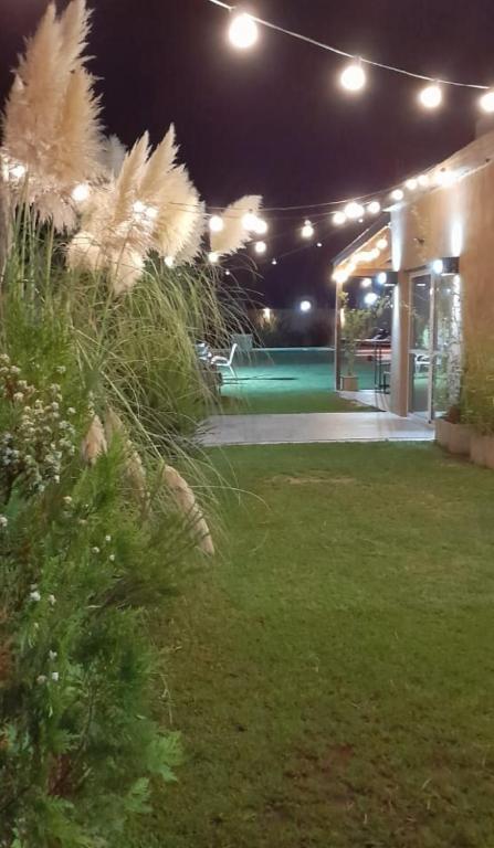 Quinta Canning MyP - 3