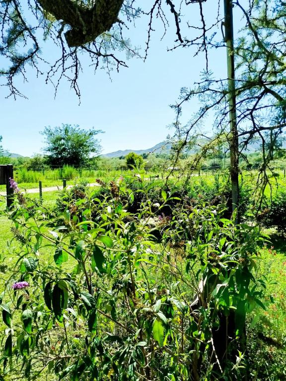 Ensueños Cabañas Familiares - 5