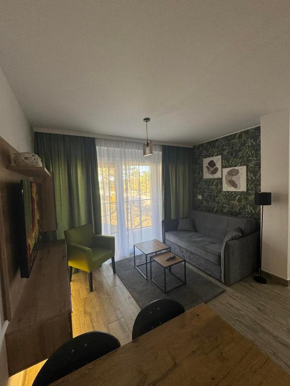 Damar Vista - 4