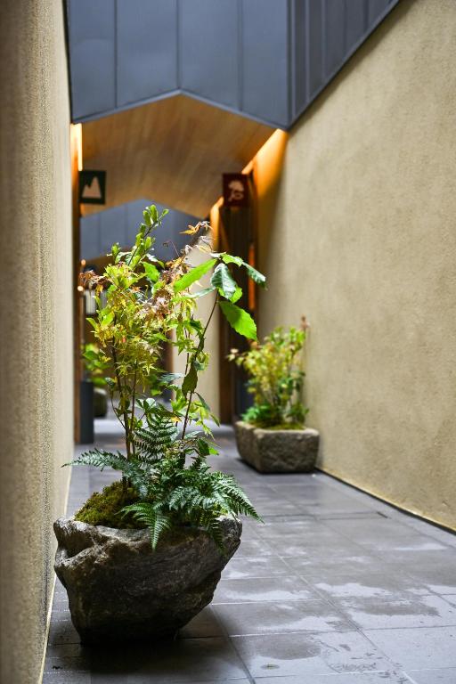 casana KYOTO