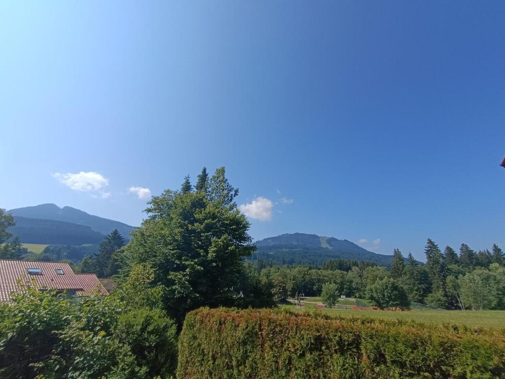 Ferienhaus im Feriendorf Reichenbach B17 - 5