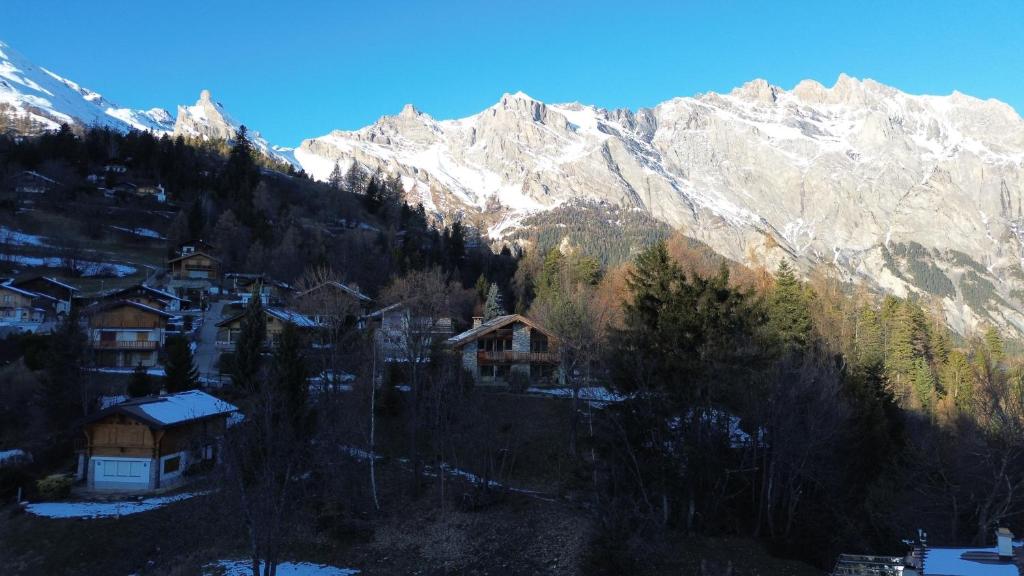 Chalet La Marendaz - 5