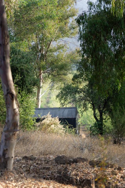 Cabaña en Paine - Tucu Cabins - 4