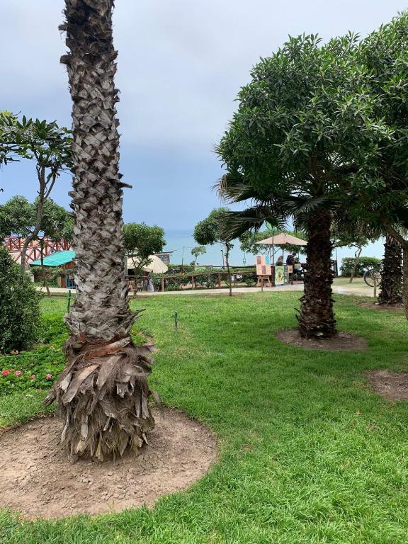 Full Depa en Miraflores - 5