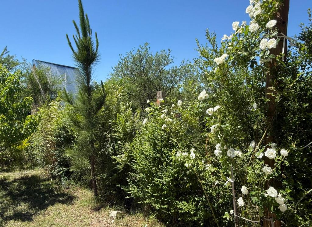 Brisas de montaña - 3