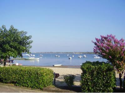 ARCACHON APPARTEMENT FACE PLAGE 5 pers Wi-Fi Parking Linge de maison gratuit 1chambre parentale 1cabine lits superposés 1 canapé lit - 2