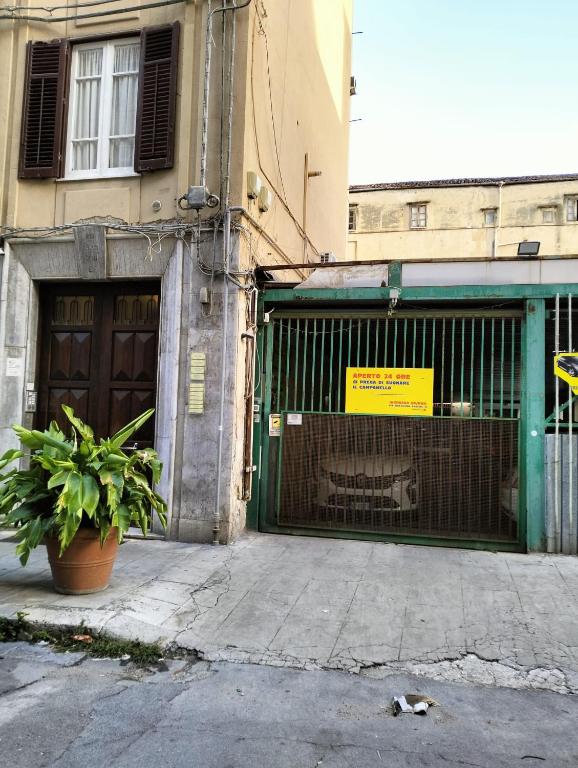 Pagano Home Guesthouse - 2