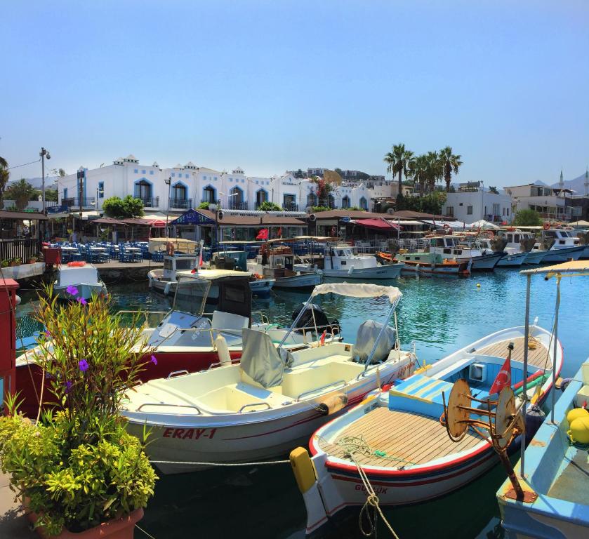 Ali Baba Hotel In Yalikavak Turkey 20 Reviews Prices Planet Of Hotels