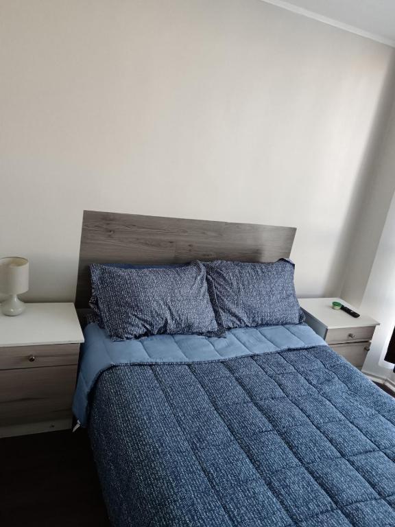 Departamento céntrico muy tranquilo con estacionamiento y guardias tiempo completo - 4