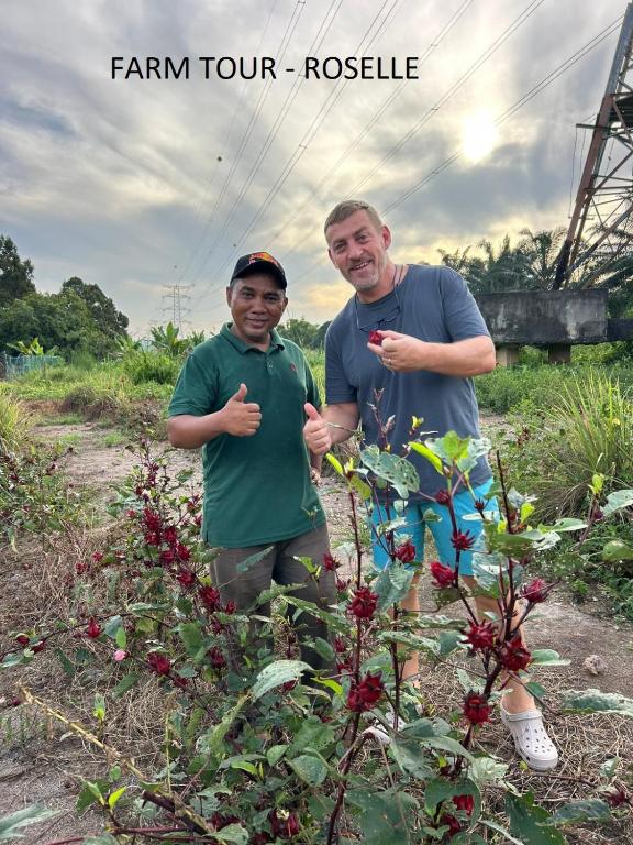 Surrounding environment