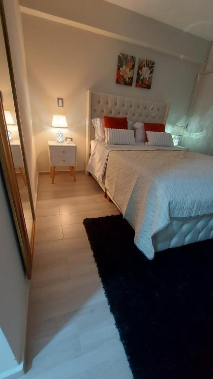 Luxury apartment - 4