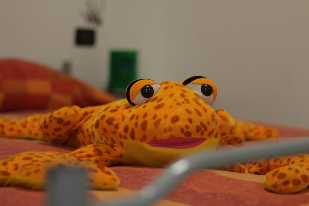 Elicrim photo