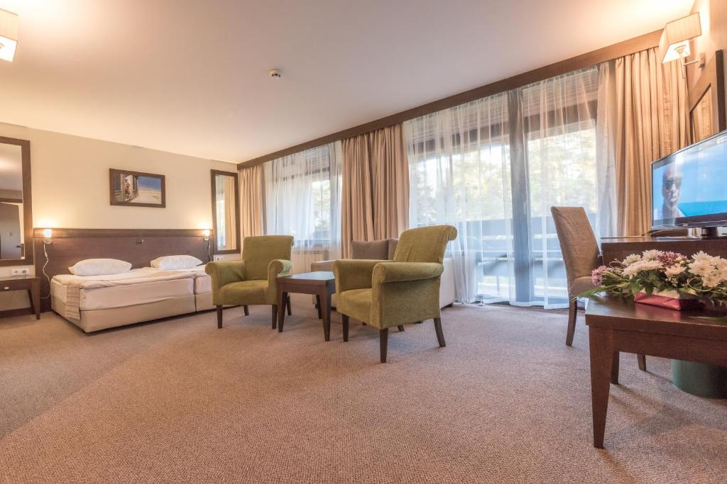 Lion Hotel Borovets — Hotel rooms in Samokov, Sofia (province)