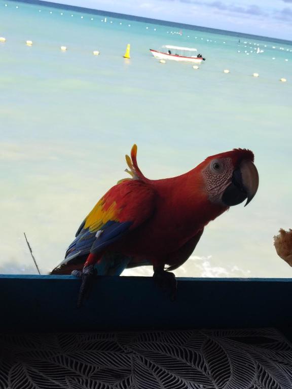 Vista Linda Cabaña - 4