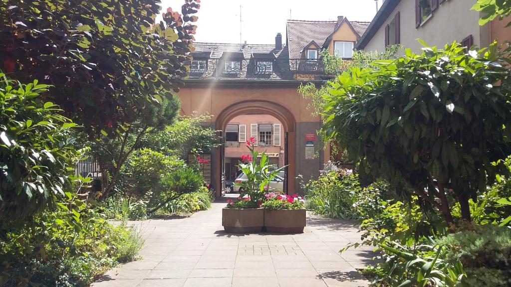 Commanderie Cottage Colmar - 3