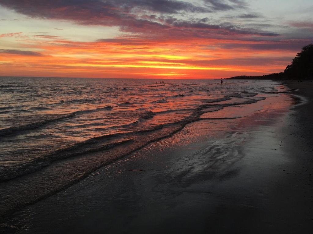 Cabaña estilo escandinavo - 3