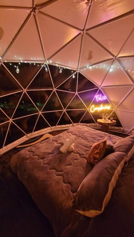 Glamping Store - 2