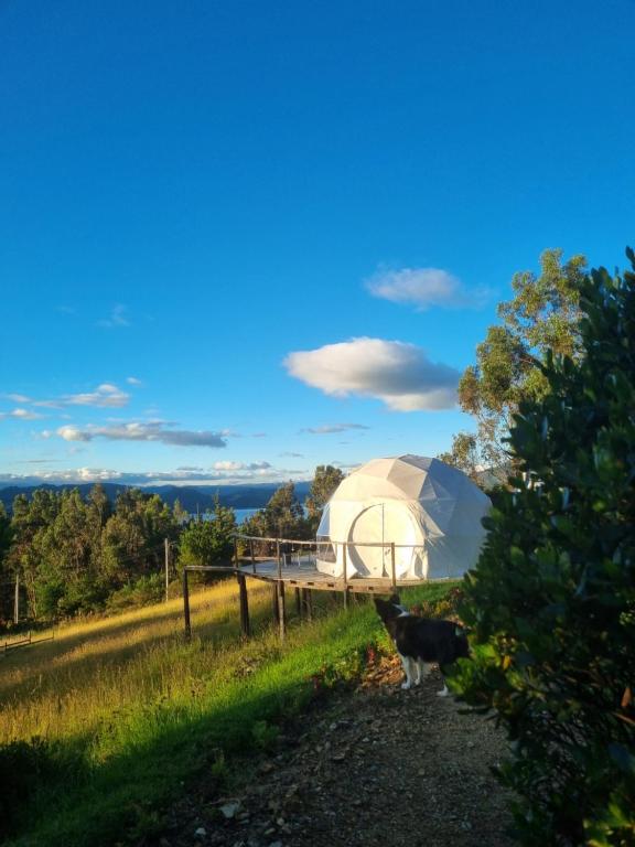 Glamping Store - 3