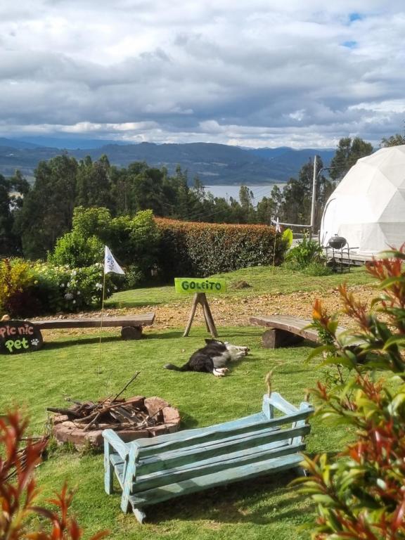 Glamping Store - 4