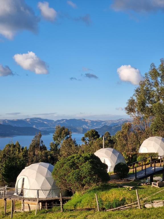 Glamping Store - 5