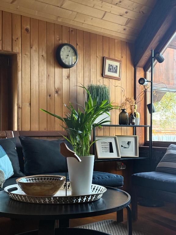 River house Vasa - 5