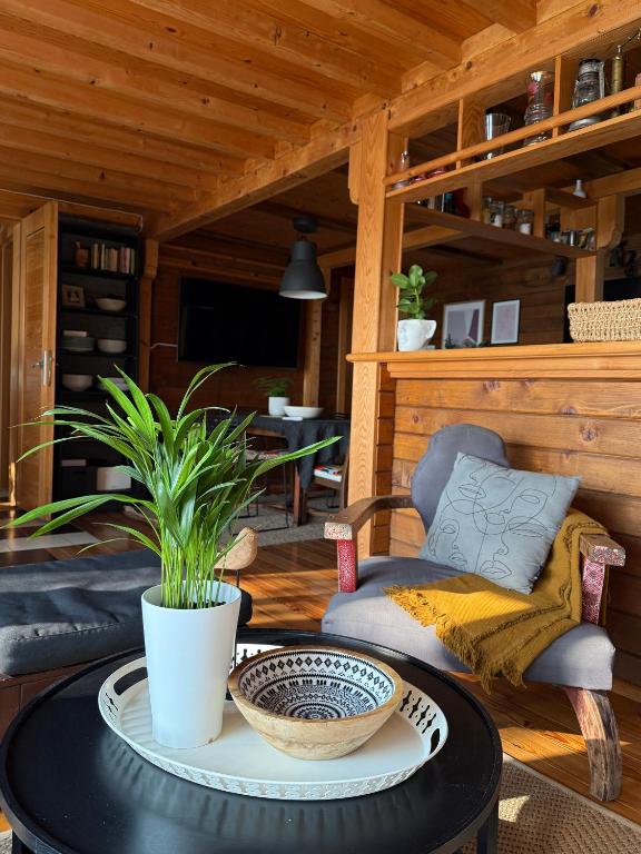 River house Vasa - 3