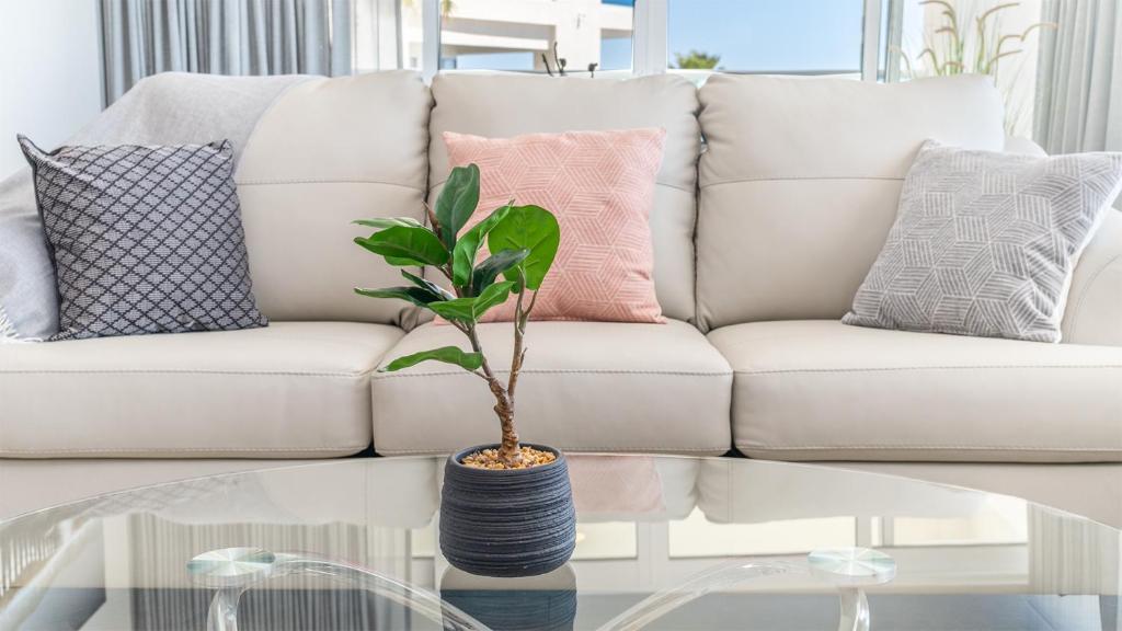 Rocky Point beach Lyfe Encantame Condo Viento 205 - 5