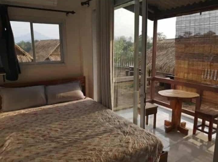 Ảnh 2