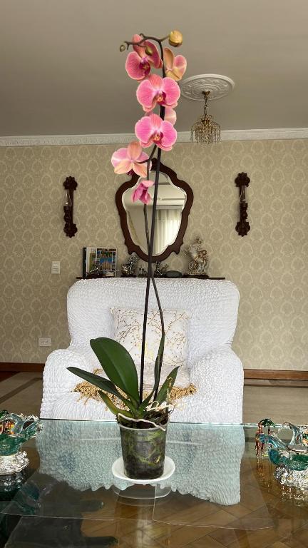 Lejos de Casa Aquí estarás bien - 4