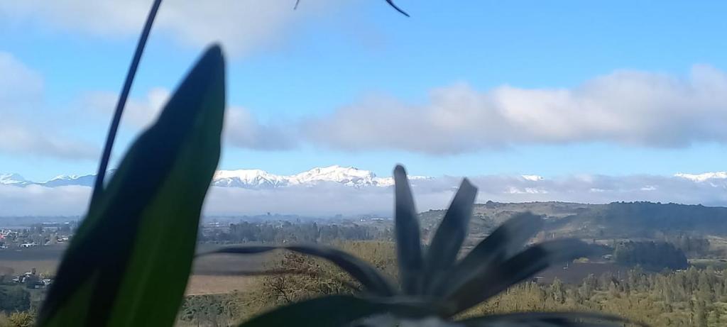 Le Petit Planchon - 5