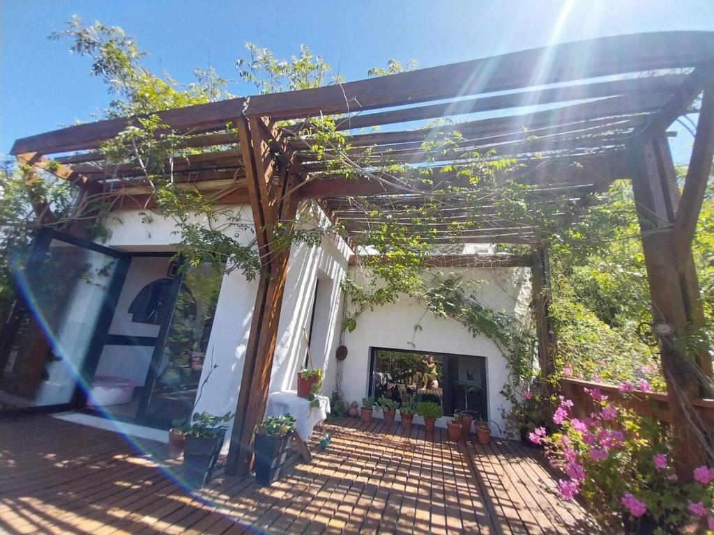 House between the sea and the forest - 1