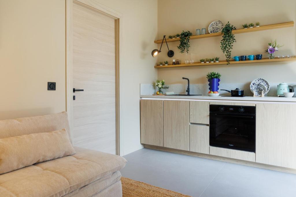 Suite Cigale Bleue avec terrasse et piscine à Antibes - 5
