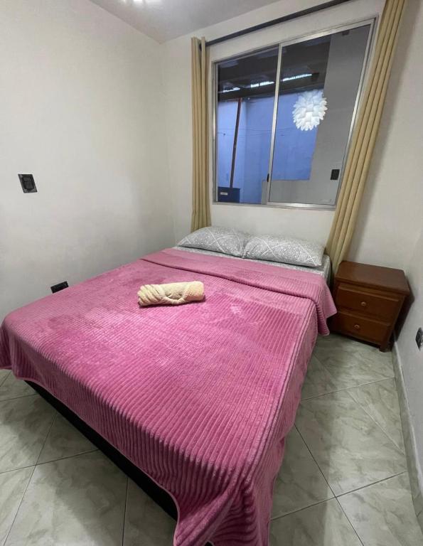 Lindo apartamento con gran patio - 3