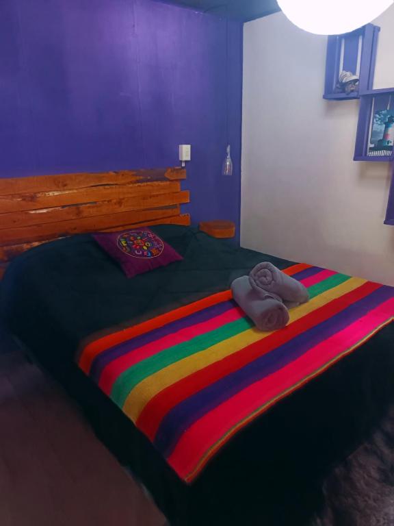 Jazz House Atacama - 3