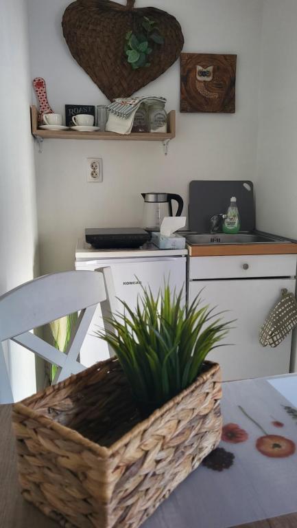 Studio Milica - 4