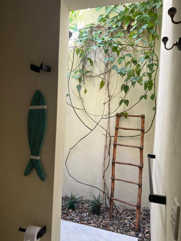 Casa De Amigos Hotel Boutique - 3