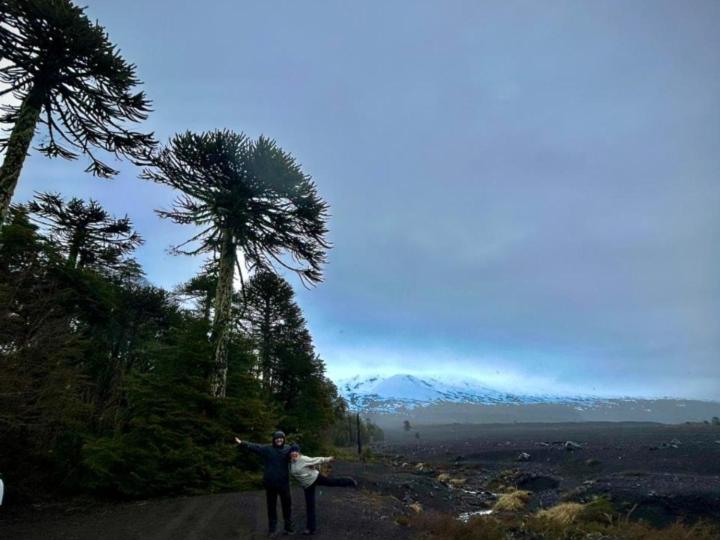 Cabaña Los Chilcos - 5