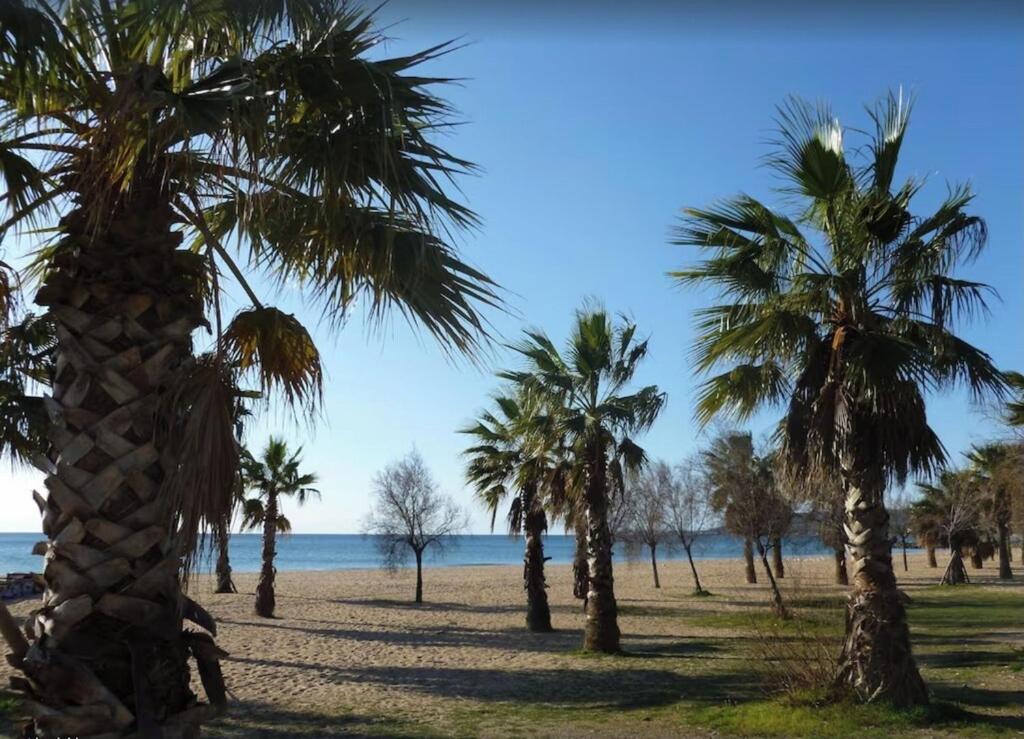 Studio vue imprenable sur port frejus - 2