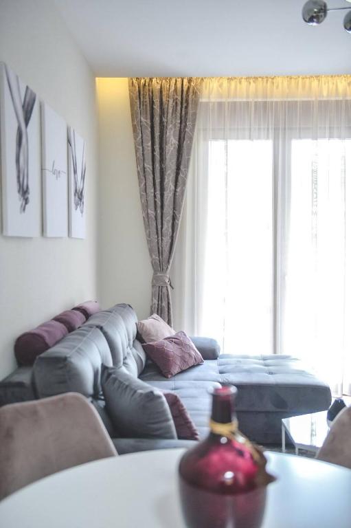 Apartmani Montis Zlatibor - 3