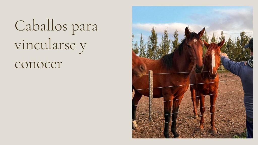 Hostel de campo La Providencia - 5